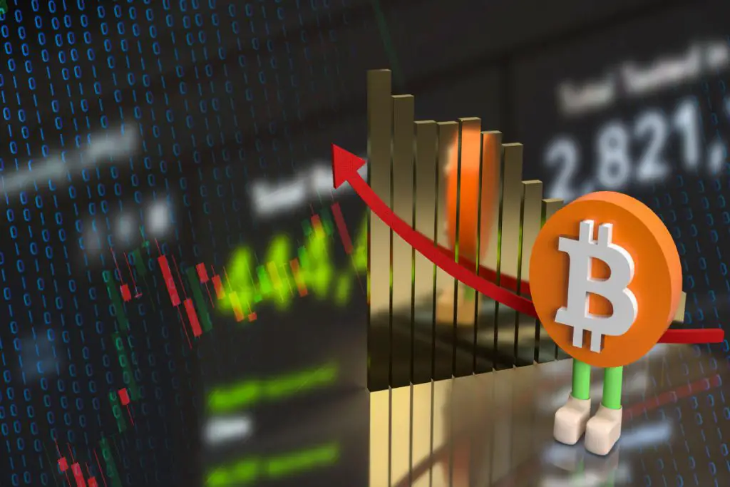 Should I Invest In Forex or Crypto